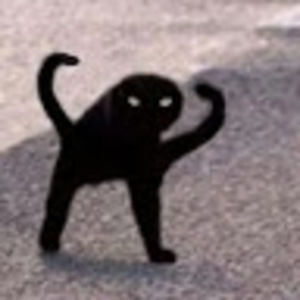 Meet your Posher, Armando